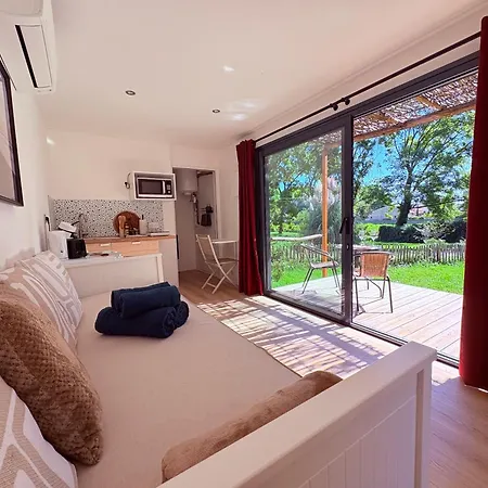Oasis Apartment